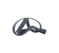 CONTITECH 6PK1100 Cinghia servizi