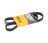 CONTITECH 6PK1125 Cinghia servizi per VW Golf IV Hatchback (1J1) 1125mm