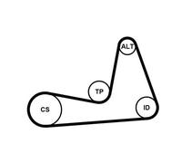 CONTINENTAL CTAM 6PK1130K1 Kit Cinghie Poly-V per DACIA,LADA,NISSAN,RENAULT