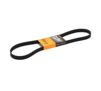 Contitech 6 PK 1145 Cinghie Trapezoidale
