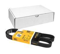 Conti 6PK1153 Cinghia Scanalata per Golf 3 4 Passat 3A2 Volvo Seat