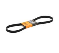 CONTINENTAL CTAM cinghia Poly-V 6PK1153 6PK1153 6 nervature 1.153 mm