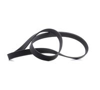 Cinghia Poly-V CONTINENTAL 6PK1190