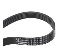 CONTITECH 6PK1244 Cinghia servizi