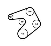 CONTITECH 6PK1244K1 Kit Cinghie Poly-V con rullo tenditore per TOYOTA