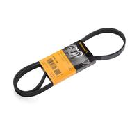 CONTITECH 6PK1256 Cinghia servizi