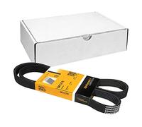 Cinghia trapezoidale multirighe 6PK1270 CONTINENTAL CTAM per VOLVO FORD FIAT