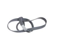 CONTITECH 6PK1310 Cinghia servizi