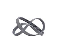 CONTITECH 6PK1318 Cinghie Trapeiz