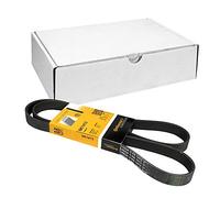 Contitech Cinghia Poly-V 6Pk1413
