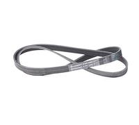 CONTINENTAL CTAM cinghia Poly-V 6PK1460 6PK1460 6 nervature 1.460 mm
