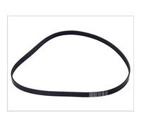 CONTINENTAL CTAM Cinghia Poly-V 6PK1495