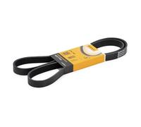 CINGHIA SERVIZI ALTERNATORE AUSILIARE POLY-V 6PK1548