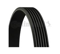 CONTITECH - 6pk1555 Cinghia Accessoria