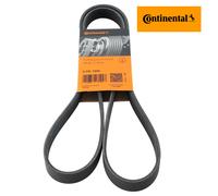 Conti 6PK1555 Cinghia Scanalata per BMW 3er 5er Escort Focus Volvo Transporter V