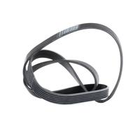 CONTITECH 6PK1555 Cinghia servizi