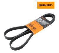 Conti 6PK1555 Cinghia Scanalata per BMW 3er 5er Escort Focus Volvo Transporter V