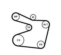CONTITECH 6PK1555K1 Kit Cinghie Poly-V con rullo tenditore con galoppino