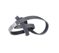 Conti 6PK1560 Poly-V per Peugeot BMW Citroen Ford Scorpio Rover Toyota