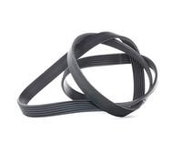 CONTITECH 6PK1564 Cinghia servizi