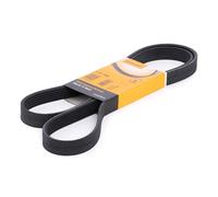 Contitech 6 PK 1580 Cinghie Trapezoidale