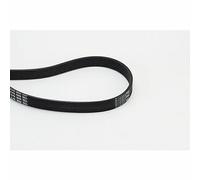 CONTITECH 6PK1660 Cinghia Poly-V