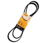 CONTITECH 6PK1685 Cinghia servizi