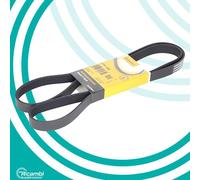 CONTITECH 6PK1698 CINGHIA SERVIZI POLY-V PER AUDI BMW CITROEN PEUGEOT SEAT SKODA