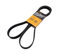 CONTITECH 6PK1733 Cinghia Poly-V