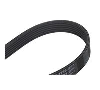 CONTITECH 6PK1733 Cinghia servizi