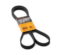 ContiTech Cinghia a V 6PK1743 Poly-V multirighe