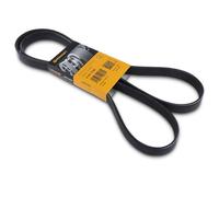 CONTITECH 6PK1750 Cinghia Poly-V