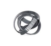 CONTITECH 6PK1815 Cinghia servizi