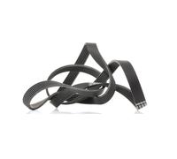 Contitech 6 PK 1830 Cinghie Trapezoidale