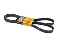 CONTITECH 6PK1873 Cinghia Poly-V
