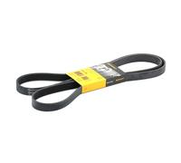 CONTINENTAL CTAM cinghia Poly-V 6PK1893 6PK1893 6 nervature 1.893 mm