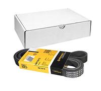 CONTITECH 6PK1915 Cinghia servizi