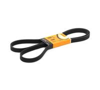 CONTITECH 6PK1990 Cinghia servizi