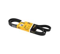 CONTITECH 6PK2020 Cinghia servizi