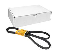 CONTINENTAL CTAM 6PK2115 Cinghia Poly-V per CHEVROLET,FORD,MERCEDES-BENZ,PORSCHE