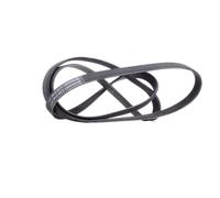 ContiTech Cinghia Poly-V 6PK2145 per Mercedes-Benz, BMW, Alfa Romeo, VW