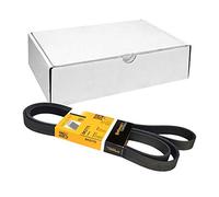CONTITECH 6PK2175 Cinghia Poly-V