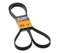 ContiTech Cinghia Poly-V 6PK2215 multirighe