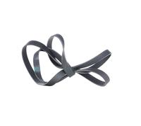 CONTITECH 6PK2257 Cinghia servizi