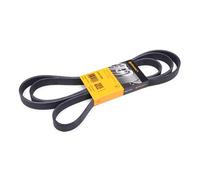 CONTITECH 6PK2330 Cinghia servizi