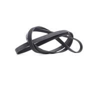 CONTINENTAL CTAM cinghia Poly-V 6PK2345 6PK2345 6 nervature 2.345 mm