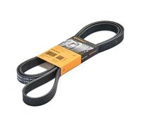 CONTITECH 6PK2415 Cinghia servizi