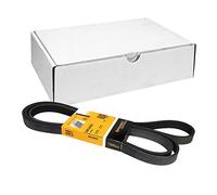 CONTITECH 6PK2445 Cinghia Poly-V