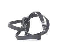 CONTITECH 6PK2490 Cinghia Poly-V