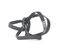 CONTITECH 6PK2490 Cinghia servizi per VW Touareg (7LA, 7L6, 7L7) 2490mm